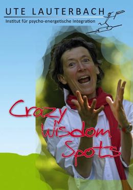 dvd-crazy-wisdom-spots-nur