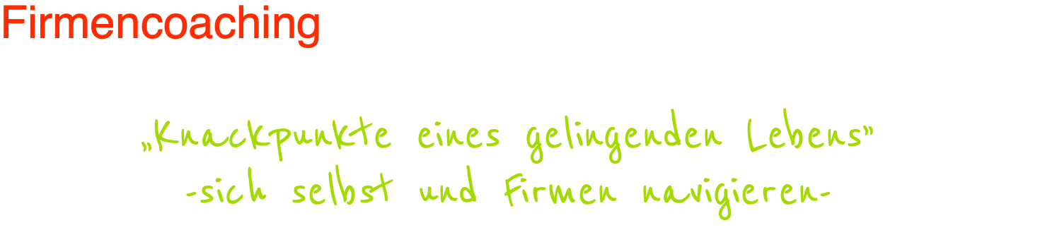 Firmencoaching  „Knackpunkte eines gelingenden Lebens” -sich selbst und Firmen navigieren-